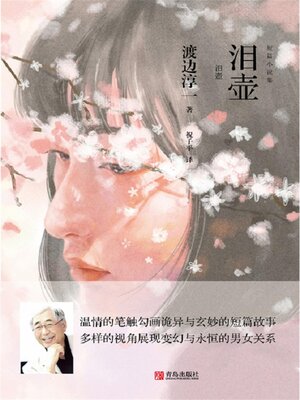 cover image of 泪壶